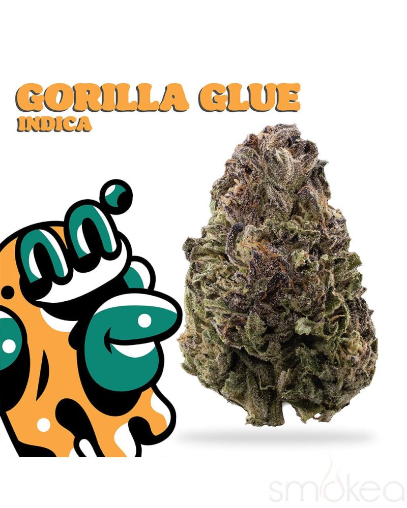 big high 3 5g premium thca flower gorilla glue 31679516868710