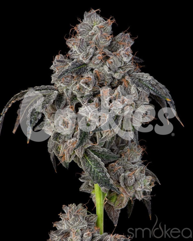 cookies cannabis seeds blueberry cherries 29729143259238