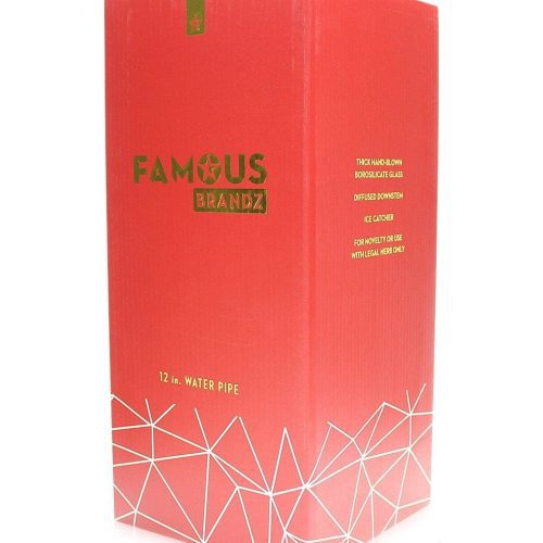 famous x space bong 11976308654182