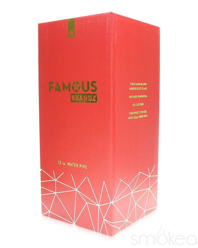 famous x space bong 11976308654182