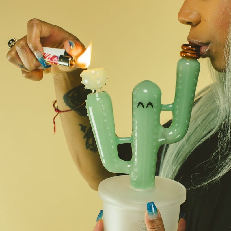 hemper cactus jack bong xl 29063174324326